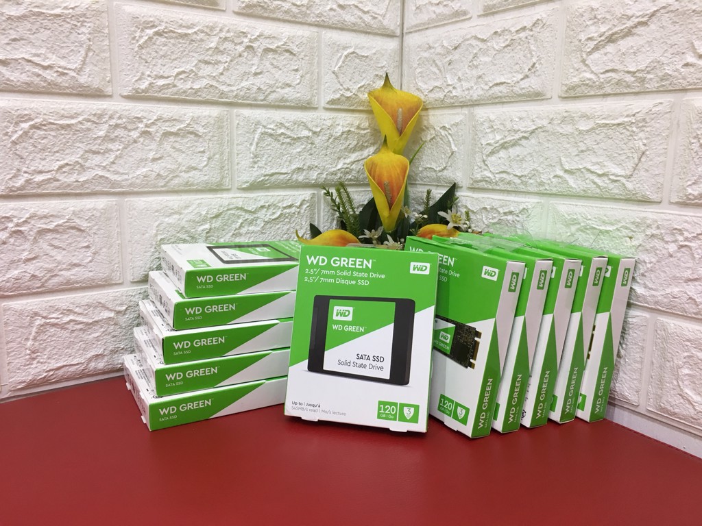 o-cung-SSD-Western-Digital-green